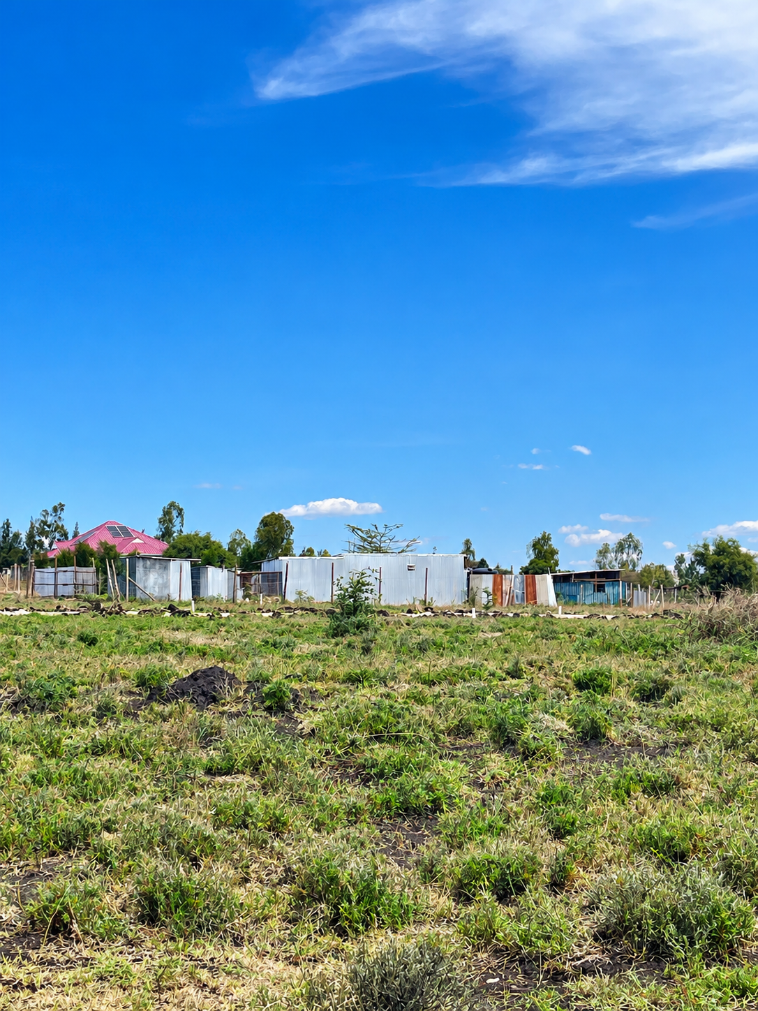 Kitengela-Acacia